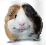 Bunnie’s ~