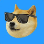 Doge Transportation Authority
