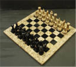 Chess lovers/players