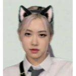 we are cute cats