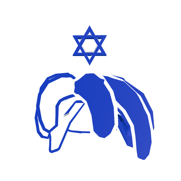 (CODE = 5337) Israel Bacon Hair