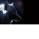 the beautifull souls group