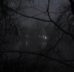 vile0477