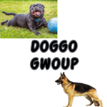 Doggo Gwoup :D