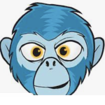 The Blue Monkey!