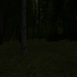 Eerie woods