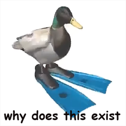duck spin meme icon