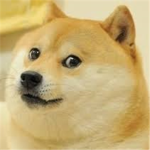 DOGE FAN GROUP