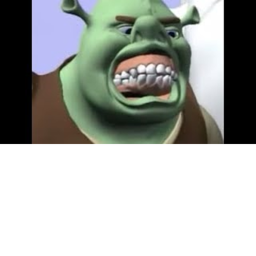 Meme obby