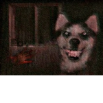 smile dog fans unite!
