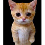 lannie's group el gato