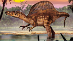 The Spino Club