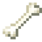 BOnE WavE