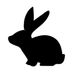 DarkBunny Studios
