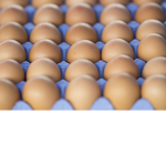 Eggs Are Eggs