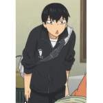 Giovis group