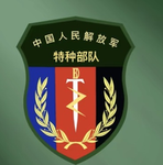 SOF-特种作战部队