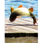 The Flip Flop Fishies