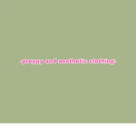 -preppy and aesthetic clothing-