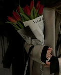 rose /petals