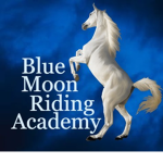 BM Riding Academy