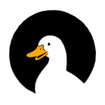 The Rise of Duck Gods