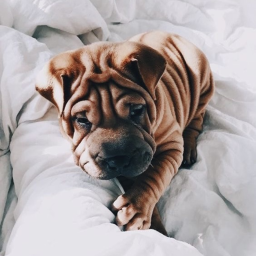 ♡