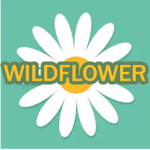Wildflower Entertainment
