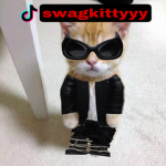 join if your too cool