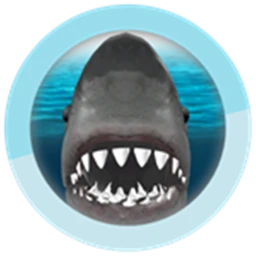 Test, killer shark and mega easy parkour icon