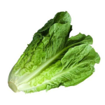 I Heard You Like Lettuce