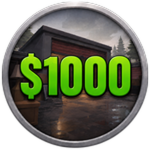Net Worth $1,000