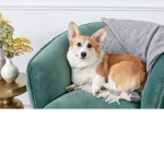 just join corgis
