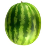 The Watermelon Empire.