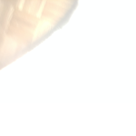 Epic_Fish_Bois