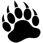 #team Bear