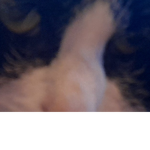 YAAAAAAAAY