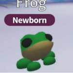 Frog Squad!