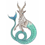 CAPRICORN SQUAD!