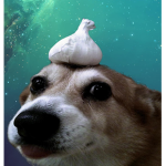space dog ad a ungen