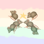 The Ratzzs