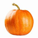pumpkin throwers of roblox