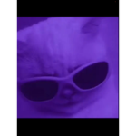 Were the B