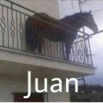 Grupo Manzanita