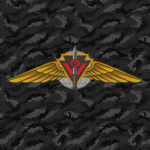 Counter Terroriet Operations Center