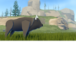 The Wild West Bison Hunters