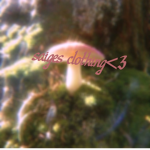 Saige's clothing <3