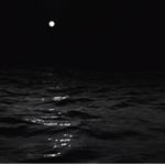 darkwave qx