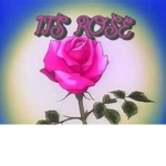 RedRose Vibe