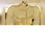 Anubisss clan